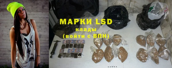 индика Бугульма