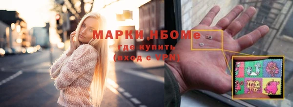 индика Бугульма