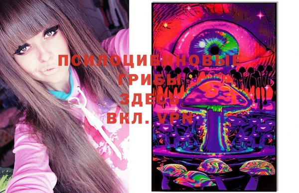 прущий лед Бронницы