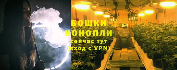 индика Бугульма