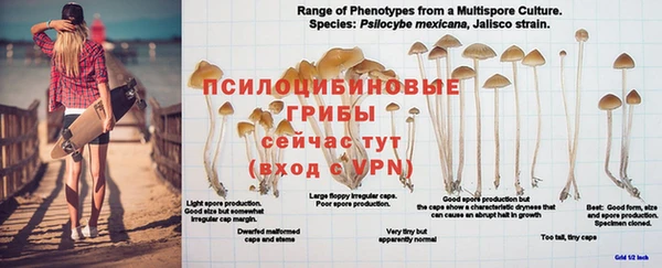 прущий лед Бронницы