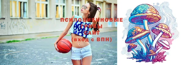 ГАЛЛЮЦИНОГЕННЫЕ ГРИБЫ Верхний Тагил