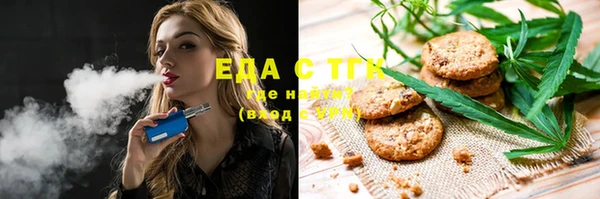 индика Бугульма