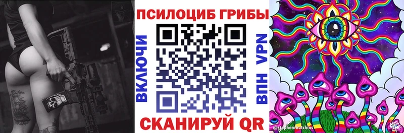 закладка Буй Галлюциногенные грибы GOLDEN TEACHER